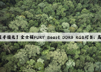 泛亚电竞官方网站：【手慢无】金士顿FURY Beast DDR5 RGB灯条: 高频低延，炫彩电竞首选！